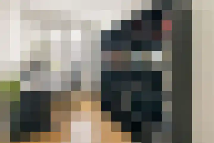 Dwergbloemsingel 39 Vleuten thumbnail 30