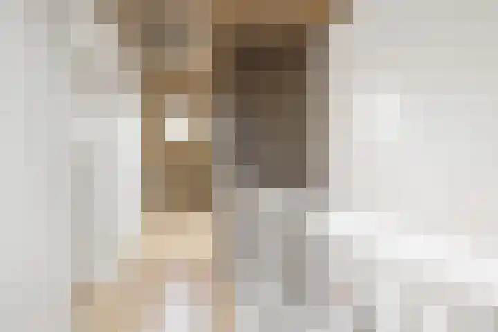 Dwergbloemsingel 39 Vleuten thumbnail 32