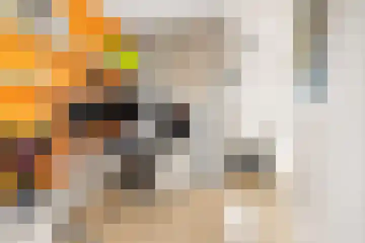 Dwergbloemsingel 39 Vleuten thumbnail 35