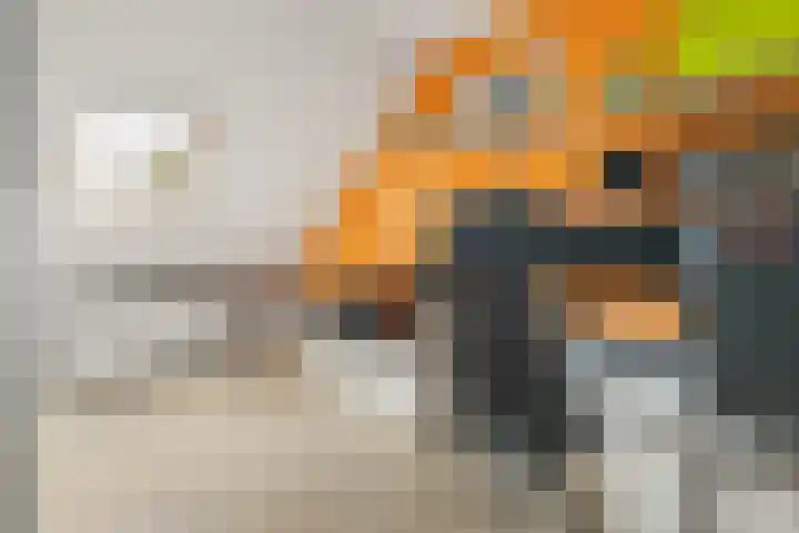 Dwergbloemsingel 39 Vleuten thumbnail 36