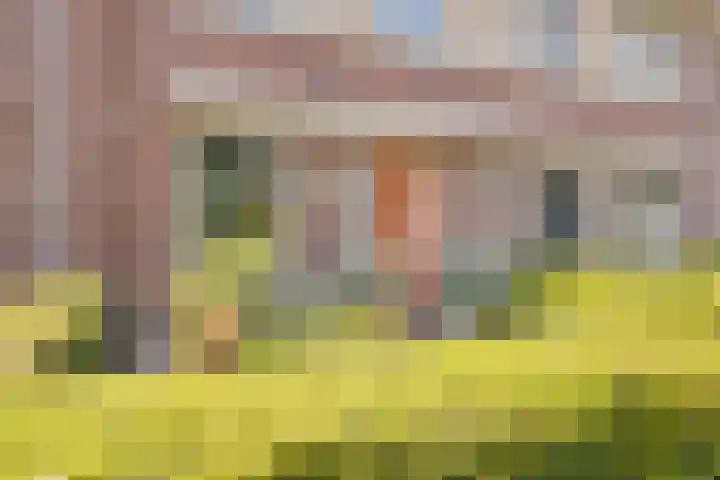 Dwergbloemsingel 39 Vleuten thumbnail 4