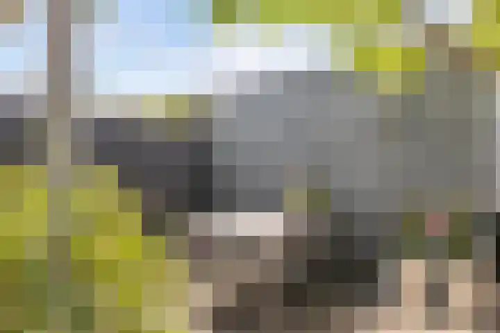 Dwergbloemsingel 39 Vleuten thumbnail 41