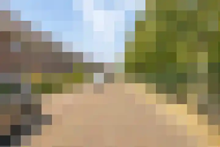 Dwergbloemsingel 39 Vleuten thumbnail 44
