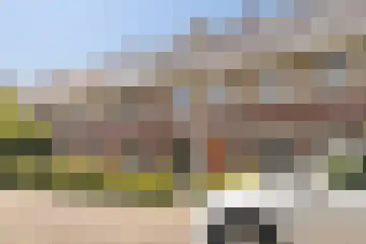 Dwergbloemsingel 39 Vleuten thumbnail 45