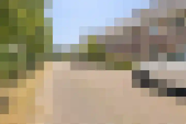 Dwergbloemsingel 39 Vleuten thumbnail 46