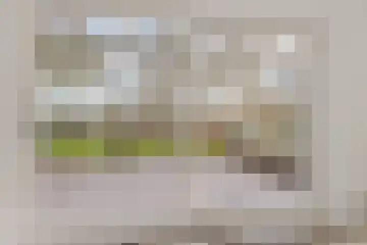 Dwerggors 1 Emmen thumbnail 12