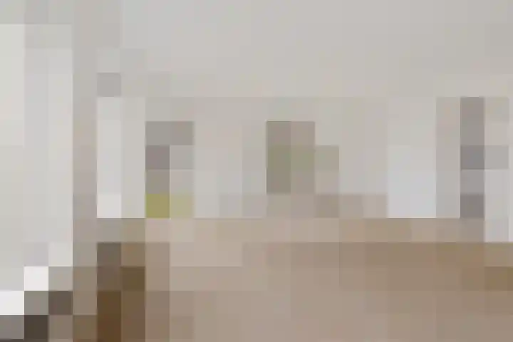 Dwerggors 1 Emmen thumbnail 13