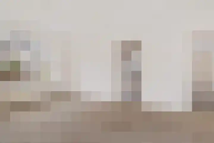 Dwerggors 1 Emmen thumbnail 14
