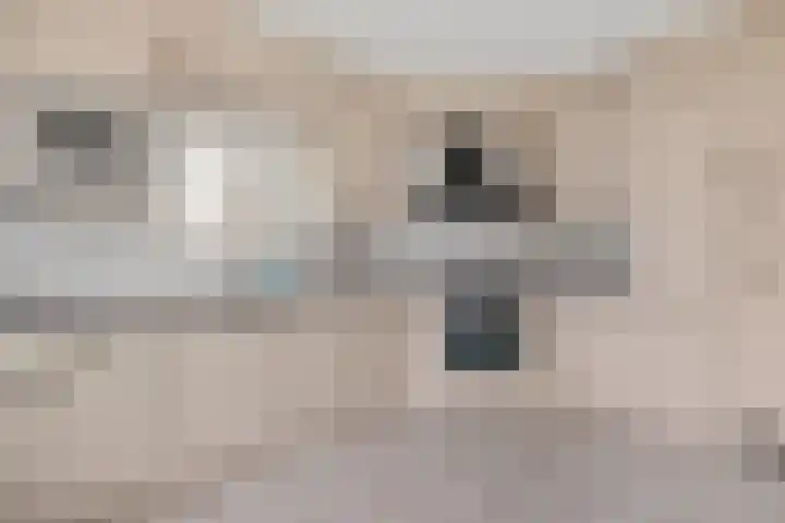 Dwerggors 1 Emmen thumbnail 16