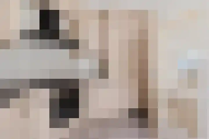 Dwerggors 1 Emmen thumbnail 17