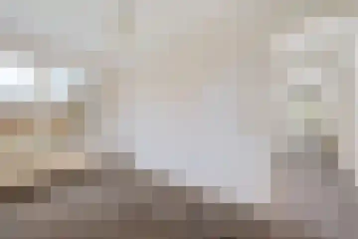 Dwerggors 1 Emmen thumbnail 22