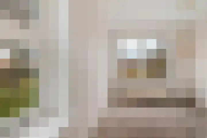 Dwerggors 1 Emmen thumbnail 25