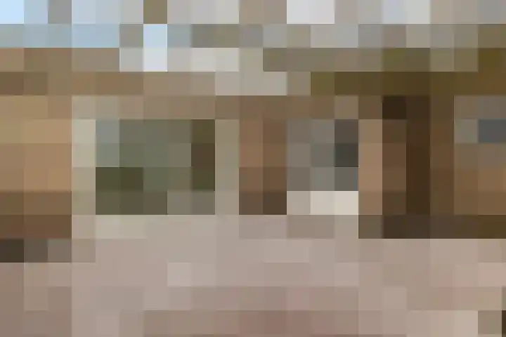 Dwerggors 1 Emmen thumbnail 36