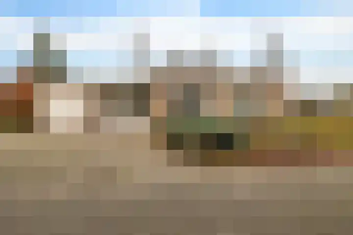 Dwerggors 1 Emmen thumbnail 6