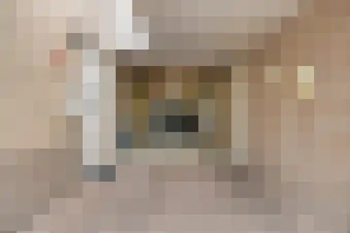 Dwergheuvel 15 Best thumbnail 23