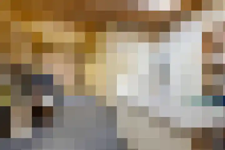 Dwergheuvel 15 Best thumbnail 26