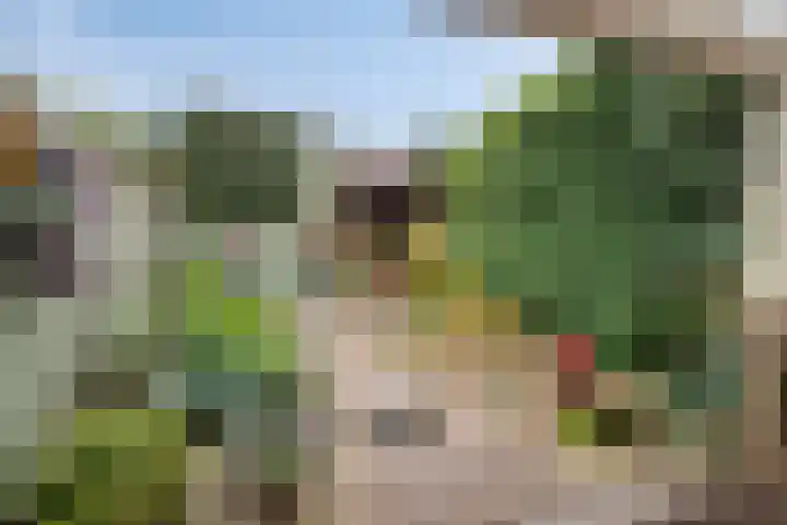 Dwergheuvel 15 Best thumbnail 27