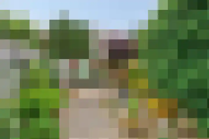 Dwergheuvel 15 Best thumbnail 28
