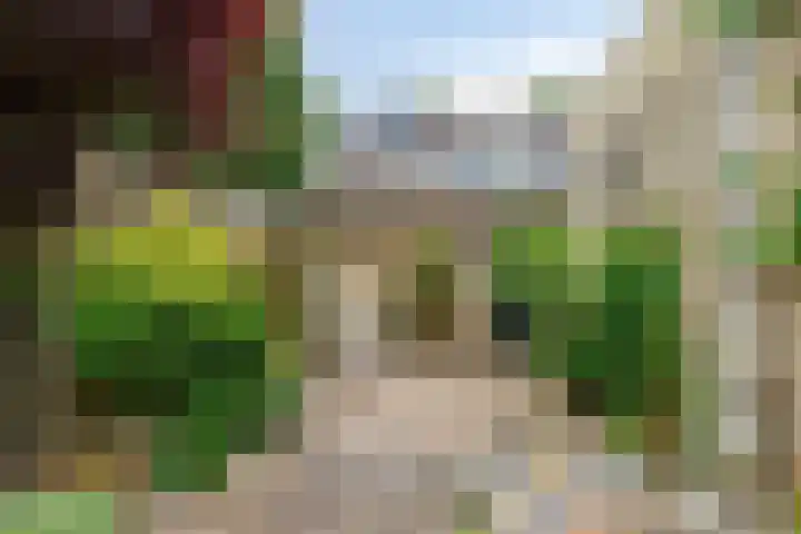 Dwergheuvel 15 Best thumbnail 29