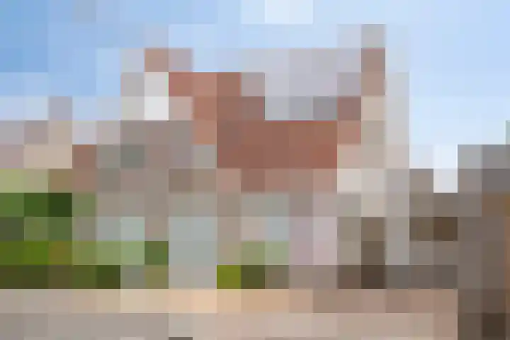 Dwergheuvel 15 Best thumbnail 38