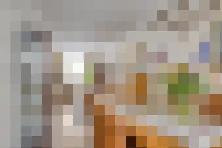 Dwergheuvel 15 Best thumbnail 6