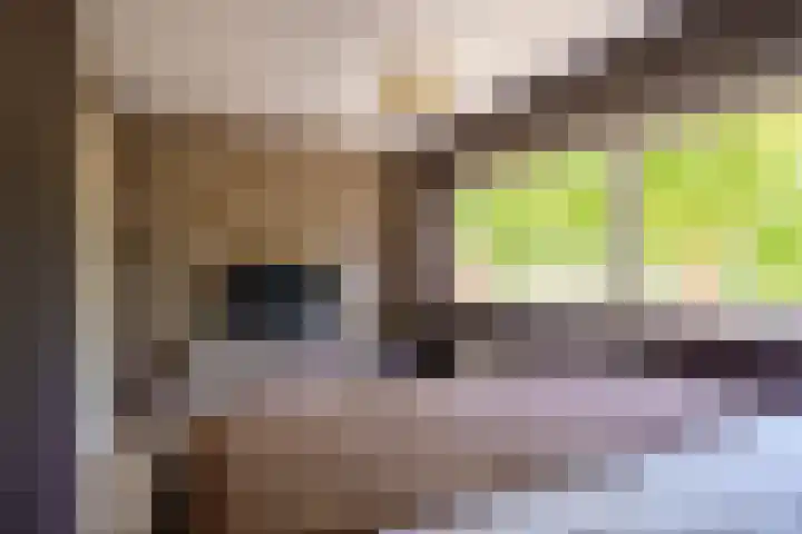Dwergkonijnstraat 25 Almere thumbnail 22