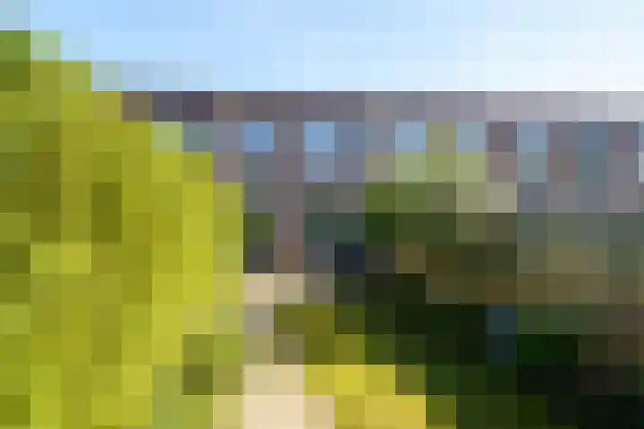 Dwergkonijnstraat 25 Almere thumbnail 30