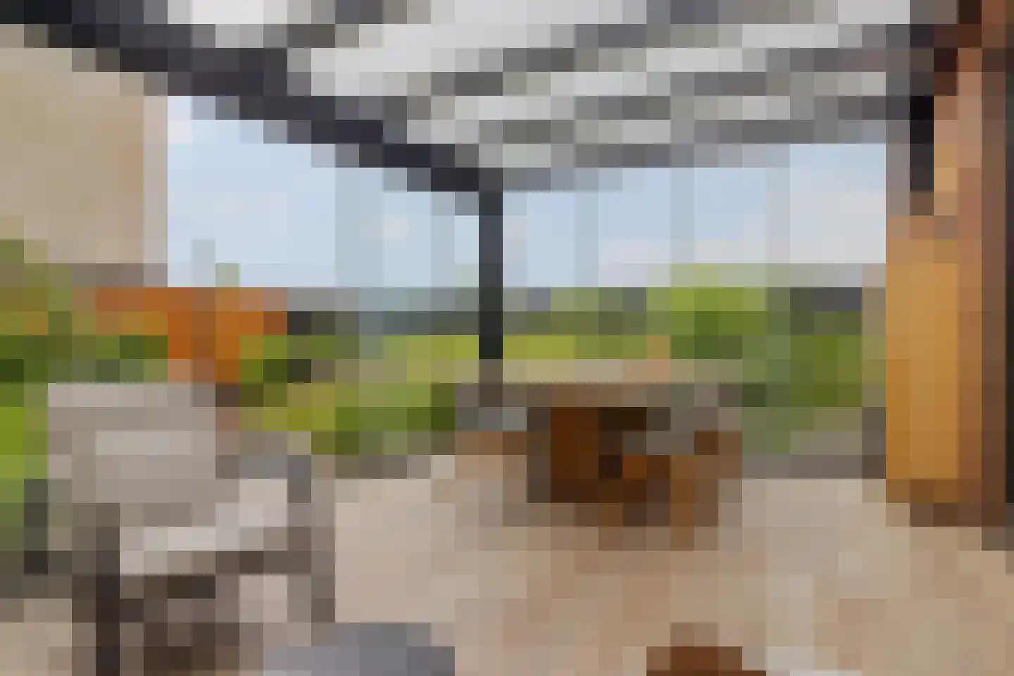 Dwergotter 13 Boxtel thumbnail 11