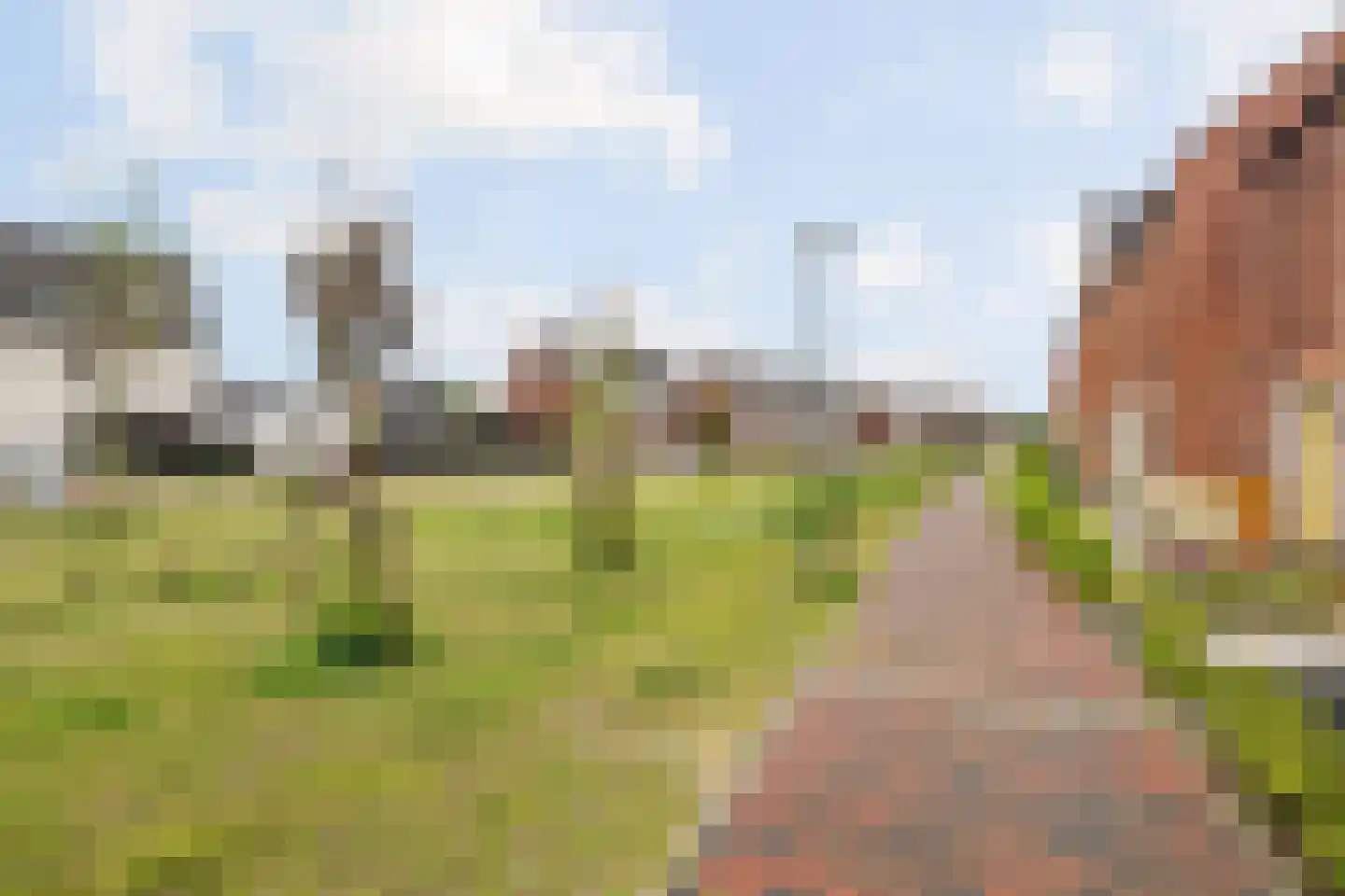 Dwergotter 13 Boxtel thumbnail 13