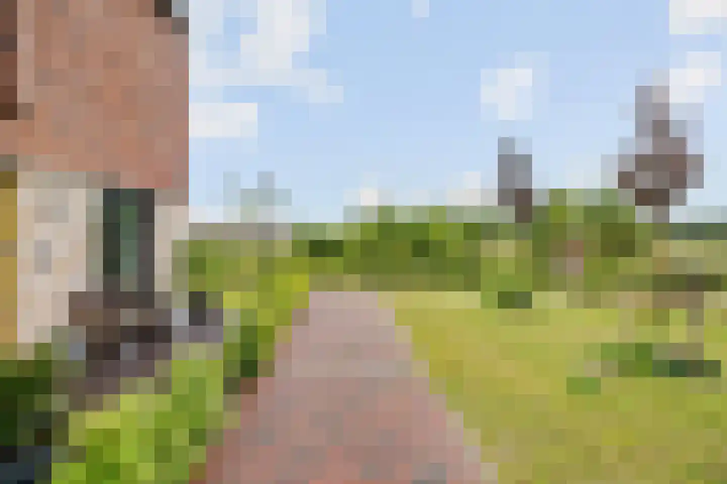 Dwergotter 13 Boxtel thumbnail 14