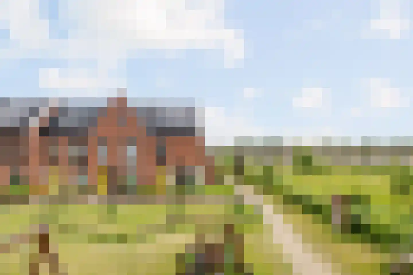 Dwergotter 13 Boxtel thumbnail 17