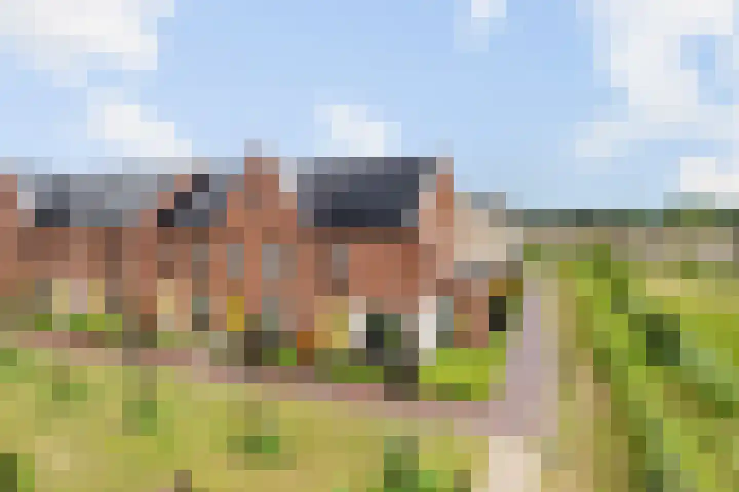 Dwergotter 13 Boxtel thumbnail 18