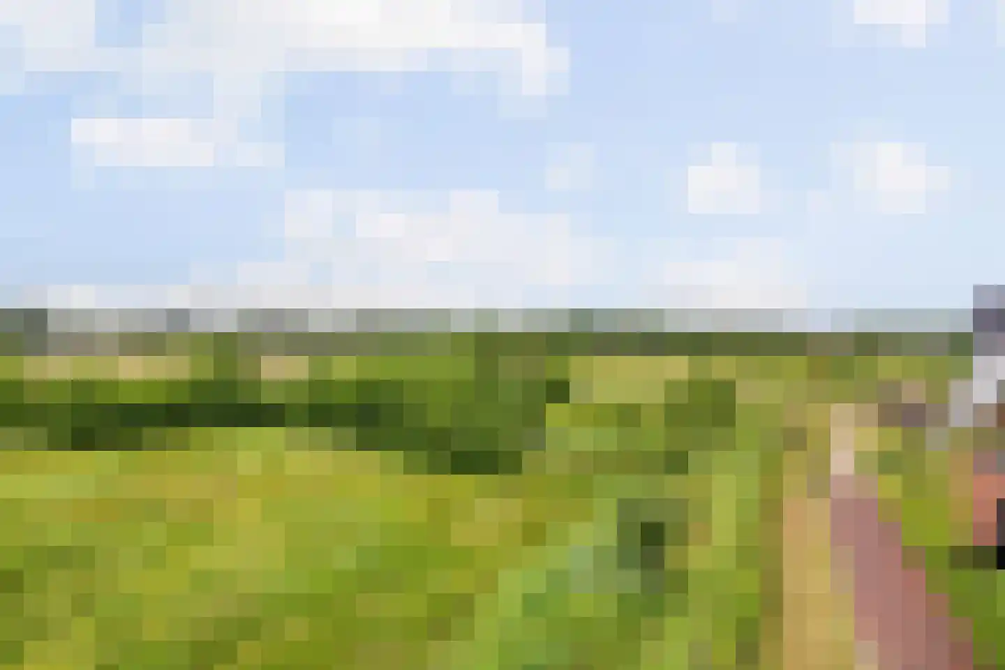 Dwergotter 13 Boxtel thumbnail 19