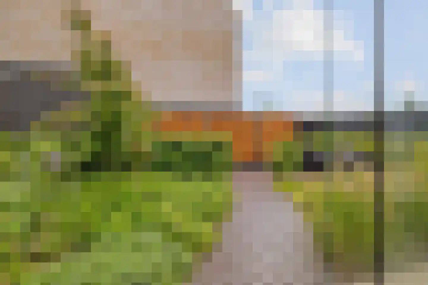 Dwergotter 13 Boxtel thumbnail 57