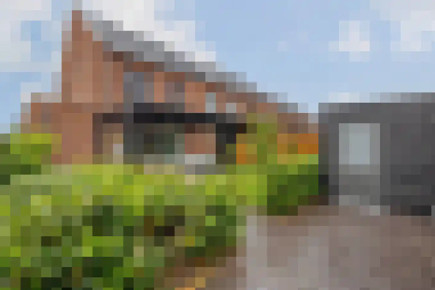 Dwergotter 13 Boxtel thumbnail 58