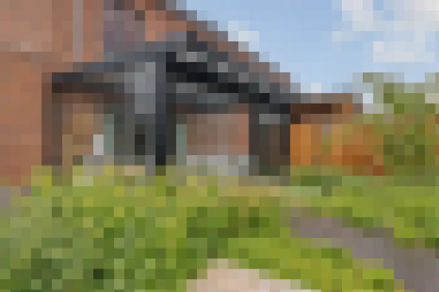 Dwergotter 13 Boxtel thumbnail 61