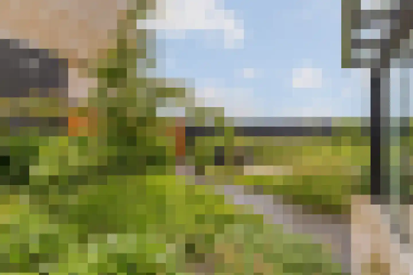 Dwergotter 13 Boxtel thumbnail 62