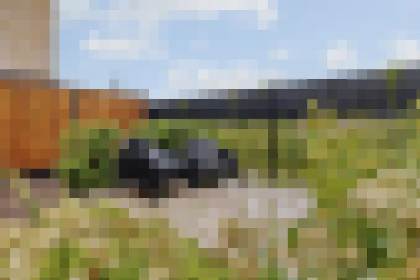 Dwergotter 13 Boxtel thumbnail 63