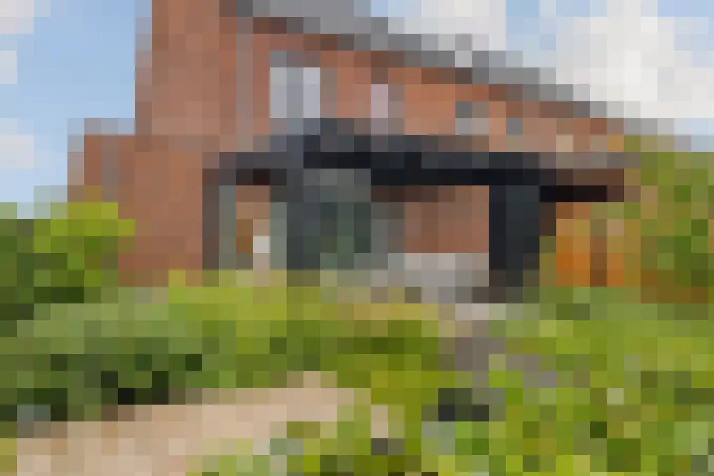 Dwergotter 13 Boxtel thumbnail 64