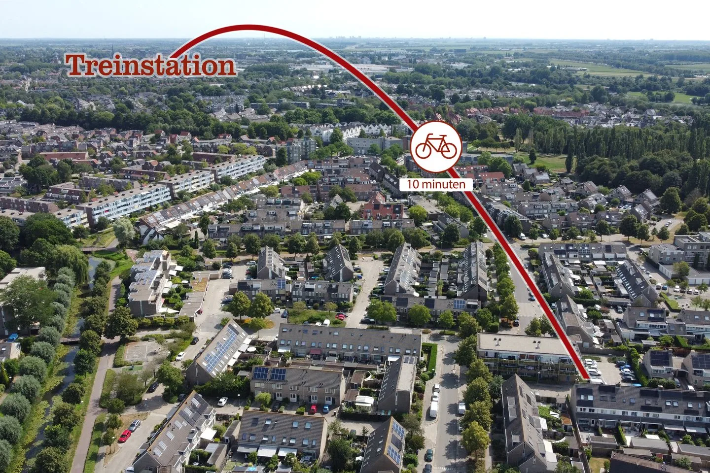 Dwergroosweide 2 Woerden thumbnail 67