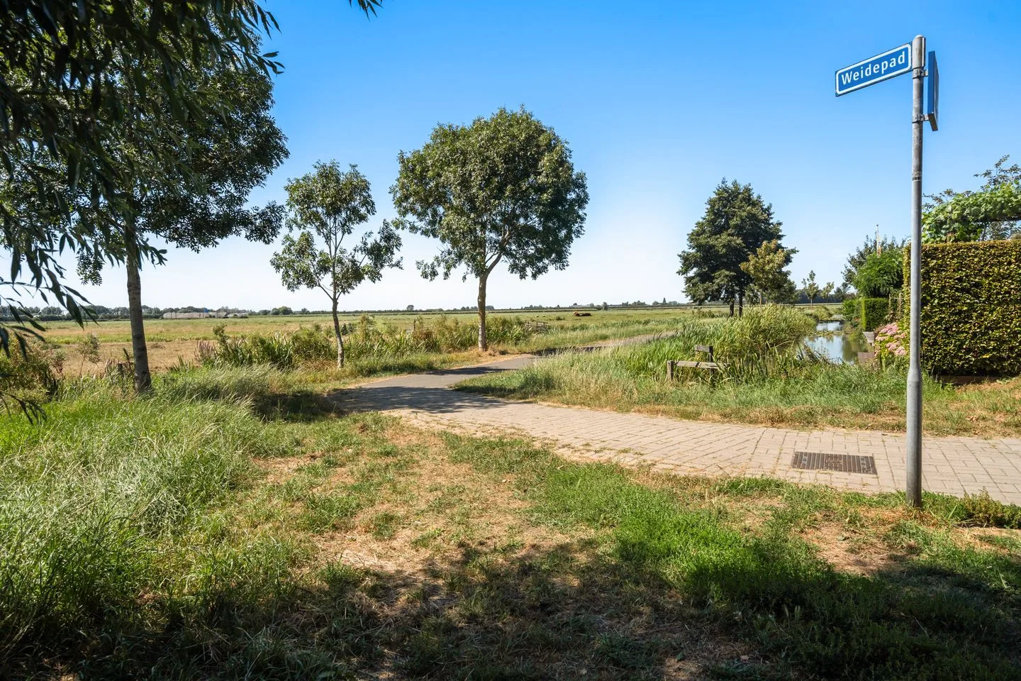 Dwergroosweide 2 Woerden thumbnail 72