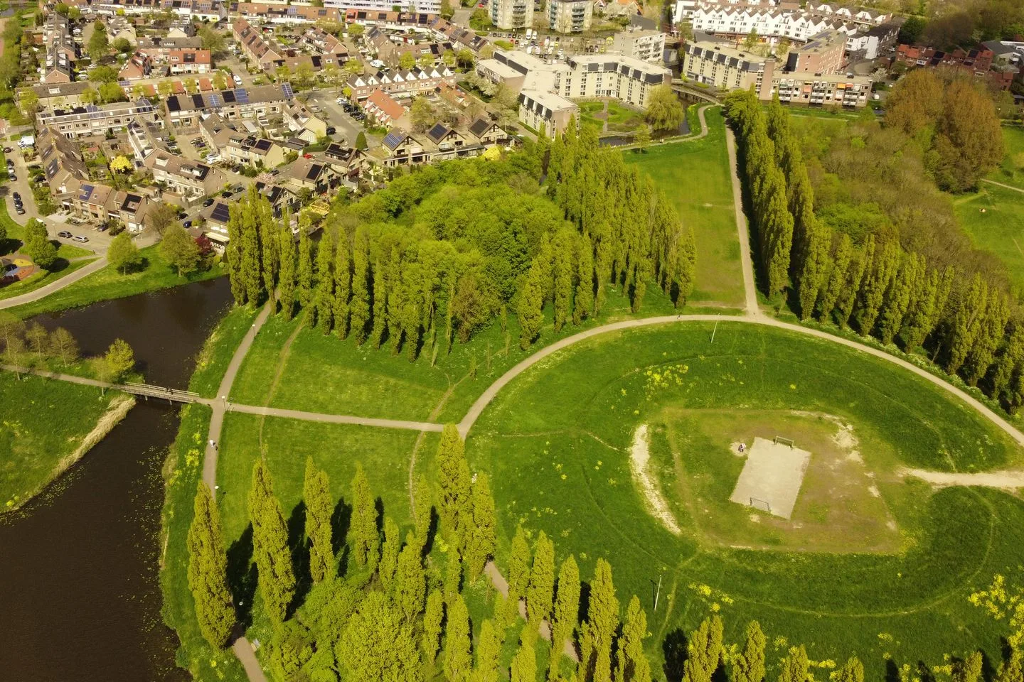 Dwergroosweide 2 Woerden thumbnail 74