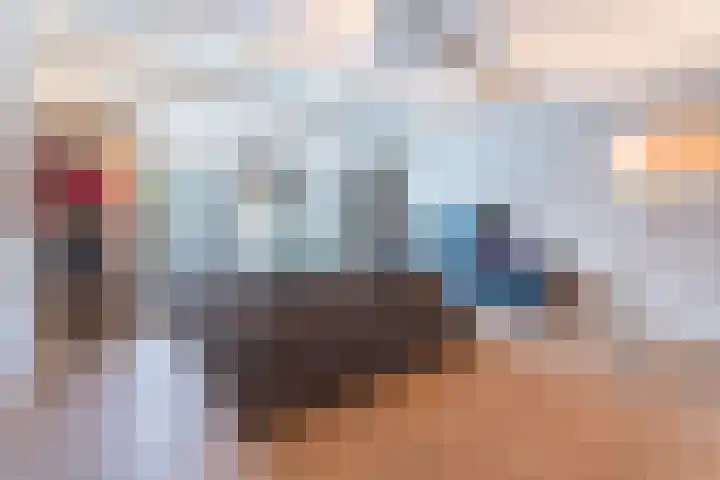 Dwergstern 20 Etten-Leur thumbnail 11