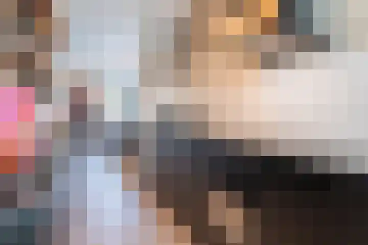 Dwergstern 20 Etten-Leur thumbnail 13