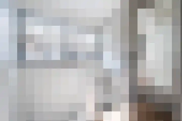 Dwergstern 20 Etten-Leur thumbnail 16