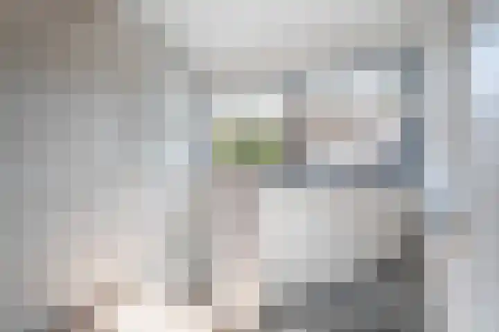Dwergstern 20 Etten-Leur thumbnail 17