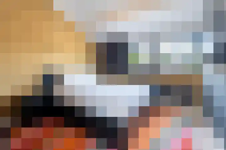 Dwergstern 20 Etten-Leur thumbnail 18
