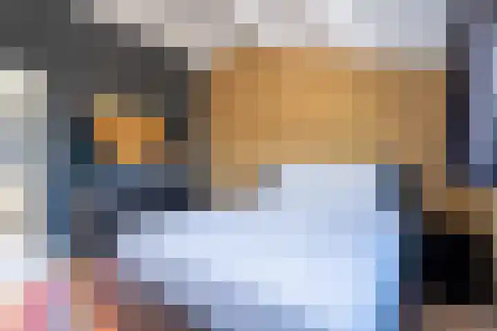 Dwergstern 20 Etten-Leur thumbnail 19