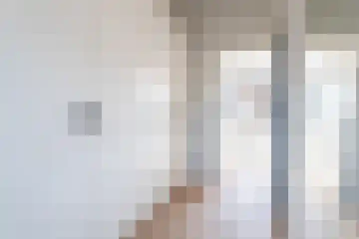 Dwergstern 20 Etten-Leur thumbnail 21