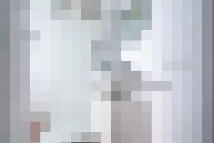Dwergstern 20 Etten-Leur thumbnail 22